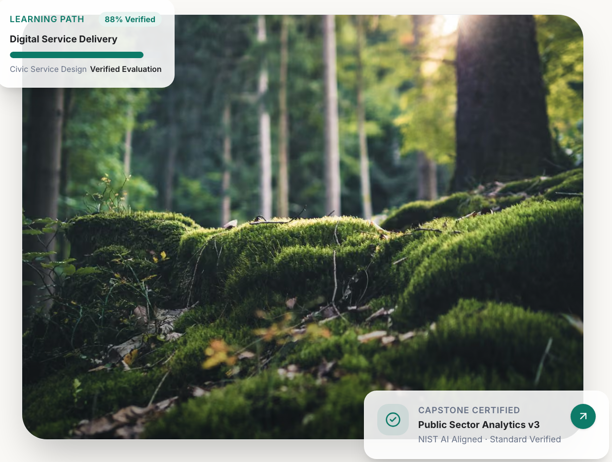 Public sector digital service delivery forest graphic with verified NIST AI evaluation badge
